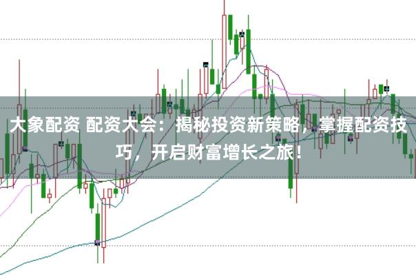 大象配资 配资大会：揭秘投资新策略，掌握配资技巧，开启财富增长之旅！