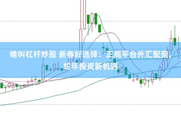 啥叫杠杆炒股 新春好选择：正规平台外汇配资，蛇年投资新机遇
