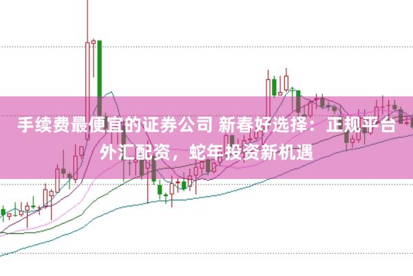 手续费最便宜的证券公司 新春好选择：正规平台外汇配资，蛇年投资新机遇
