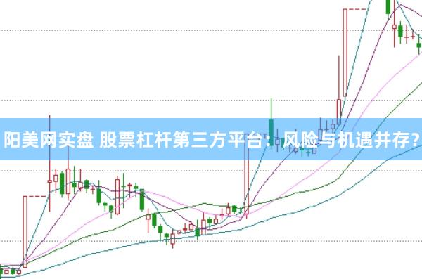 阳美网实盘 股票杠杆第三方平台：风险与机遇并存？