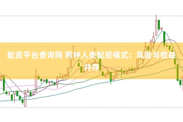 配资平台查询网 两种人类配资模式：风险与收益并存