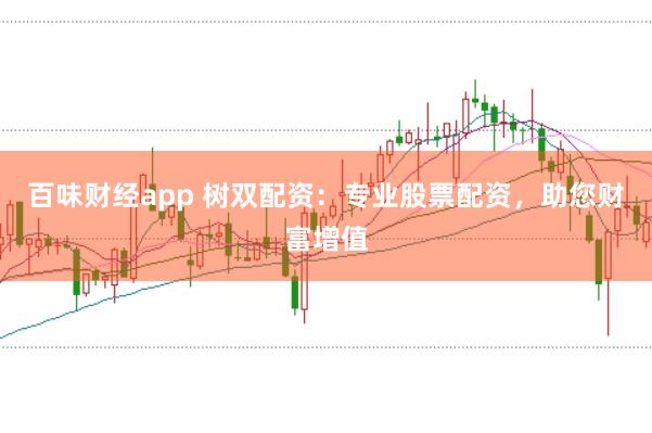 百味财经app 树双配资：专业股票配资，助您财富增值