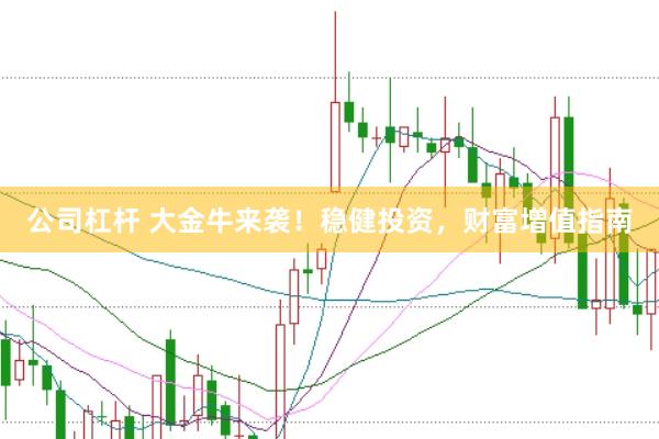 公司杠杆 大金牛来袭！稳健投资，财富增值指南