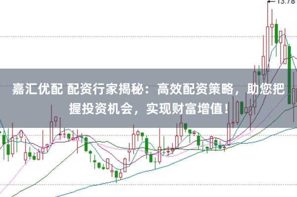 嘉汇优配 配资行家揭秘：高效配资策略，助您把握投资机会，实现财富增值！