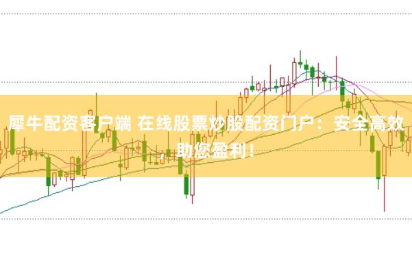 犀牛配资客户端 在线股票炒股配资门户：安全高效，助您盈利！