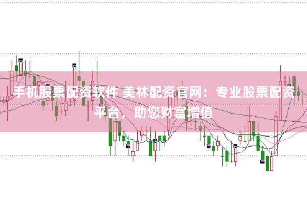 手机股票配资软件 美林配资官网：专业股票配资平台，助您财富增值
