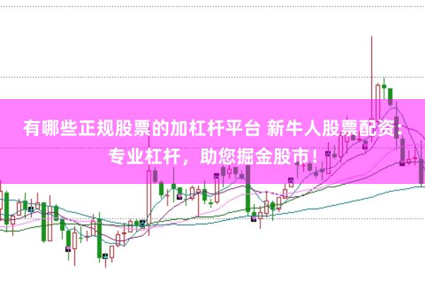 有哪些正规股票的加杠杆平台 新牛人股票配资：专业杠杆，助您掘金股市！