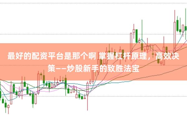 最好的配资平台是那个啊 掌握杠杆原理，高效决策——炒股新手的致胜法宝