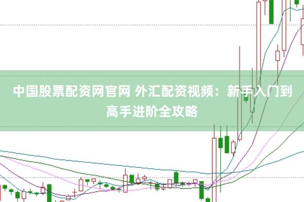 中国股票配资网官网 外汇配资视频：新手入门到高手进阶全攻略