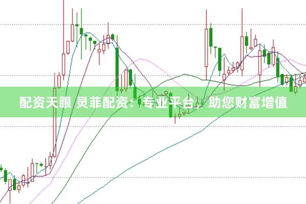 配资天眼 灵菲配资：专业平台，助您财富增值