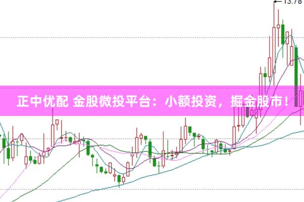 正中优配 金股微投平台：小额投资，掘金股市！