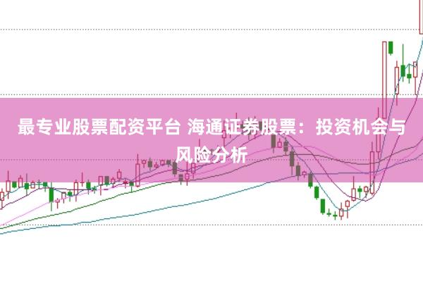 最专业股票配资平台 海通证券股票：投资机会与风险分析