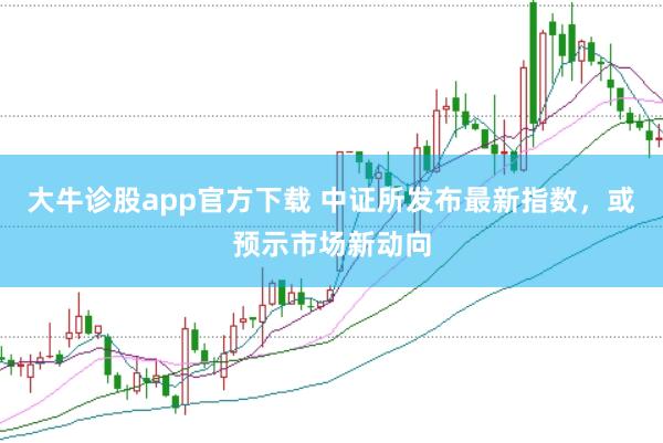 大牛诊股app官方下载 中证所发布最新指数,或预示市场新动向