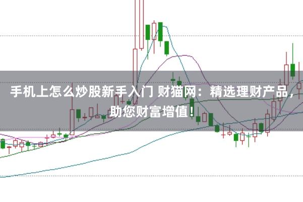 手机上怎么炒股新手入门 财猫网：精选理财产品，助您财富增值！