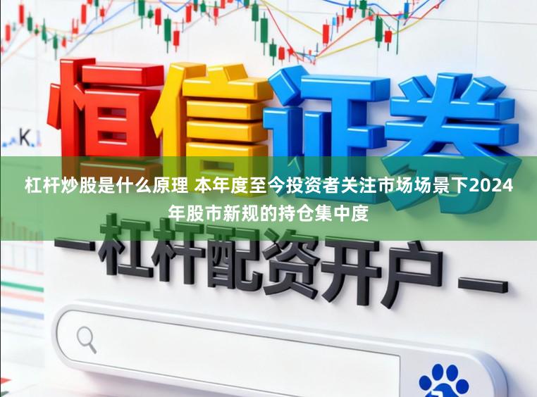 杠杆炒股是什么原理 本年度至今投资者关注市场场景下2024年股市新规的持仓集中度