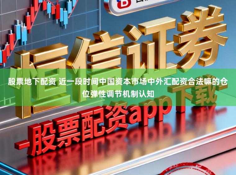 股票地下配资 近一段时间中国资本市场中外汇配资合法嘛的仓位弹性调节机制认知