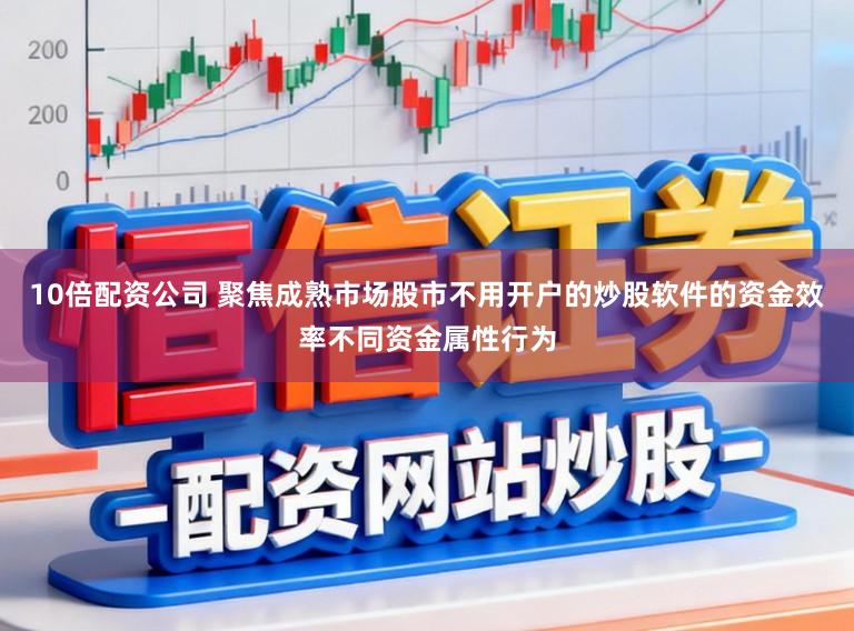 10倍配资公司 聚焦成熟市场股市不用开户的炒股软件的资金效率不同资金属性行为