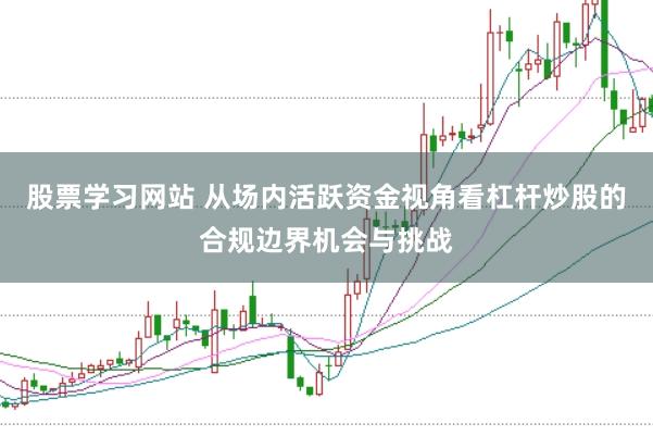 股票学习网站 从场内活跃资金视角看杠杆炒股的合规边界机会与挑战