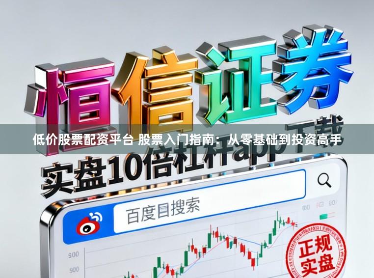 低价股票配资平台 股票入门指南：从零基础到投资高手